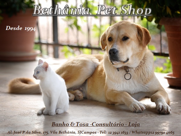 Bethânia Pet Shop